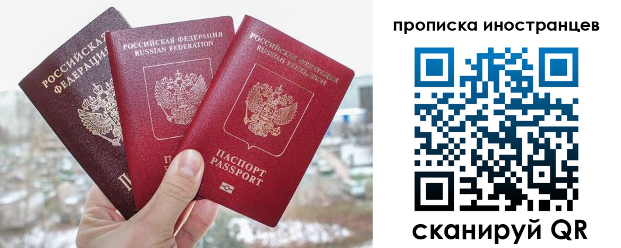 временная регистрация поиск в Новоузенске